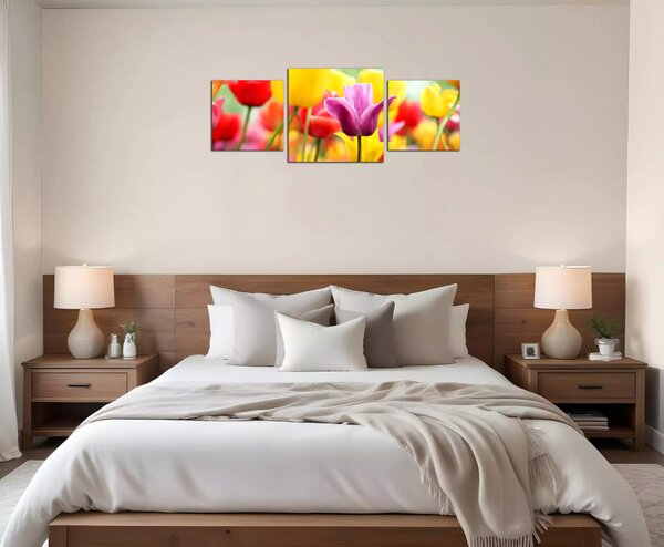 Obraz na plátně Barevné tulipány panorama