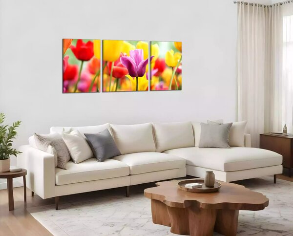 Obraz na plátně Barevné tulipány panorama