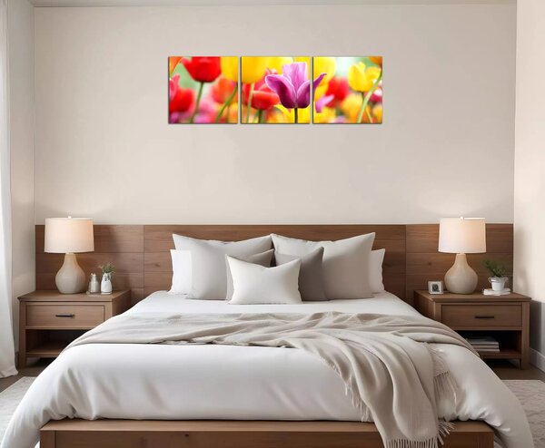 Obraz na plátně Barevné tulipány panorama