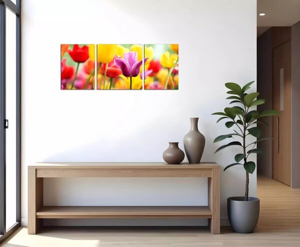 Obraz na plátně Barevné tulipány panorama