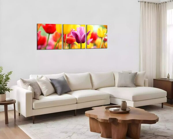 Obraz na plátně Barevné tulipány panorama