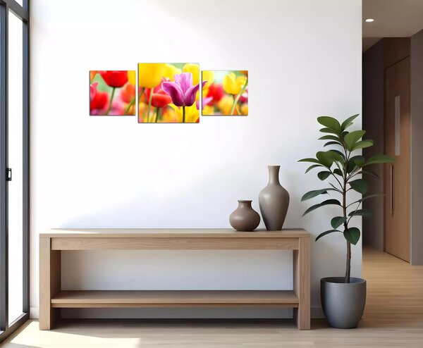 Obraz na plátně Barevné tulipány panorama