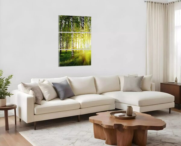 Obraz do bytu Břízy