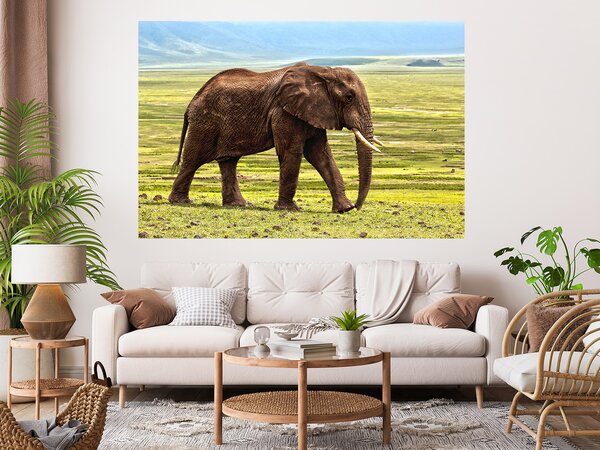 Slon na pláni 75 x 50 cm