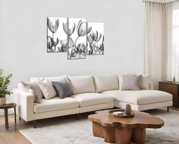 Moderní obraz Černobílé tulipány