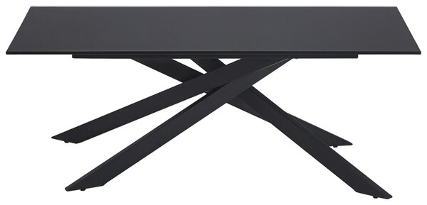 KONFERENČNÍ STOLEK, černá, kov, sklo, 115/65/42 cm Stylife - Konferenční stolky