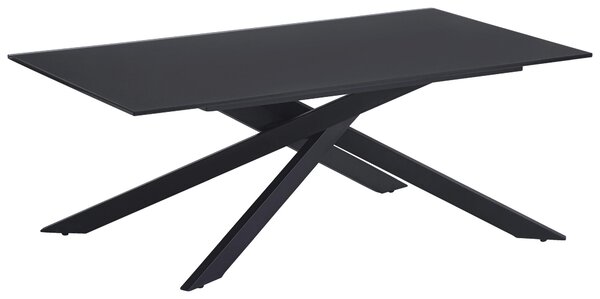 KONFERENČNÍ STOLEK, černá, kov, sklo, 115/65/42 cm Stylife - Konferenční stolky