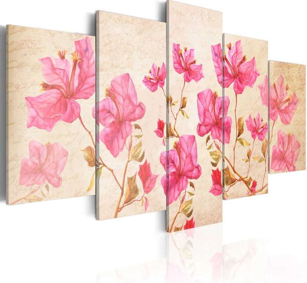 Obraz - Květy v růžové barvě 100x50