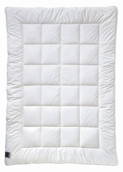 CELOROČNÍ PŘIKRÝVKA, 135/200 cm, polyester Billerbeck - Přikrývky, Online Only