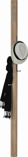 ŠATNÍ PANEL, barvy dubu, dub, 8/185/4 cm - Šatní panely, Online Only
