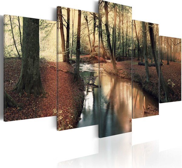 Obraz - Hnědý podzim: les 100x50