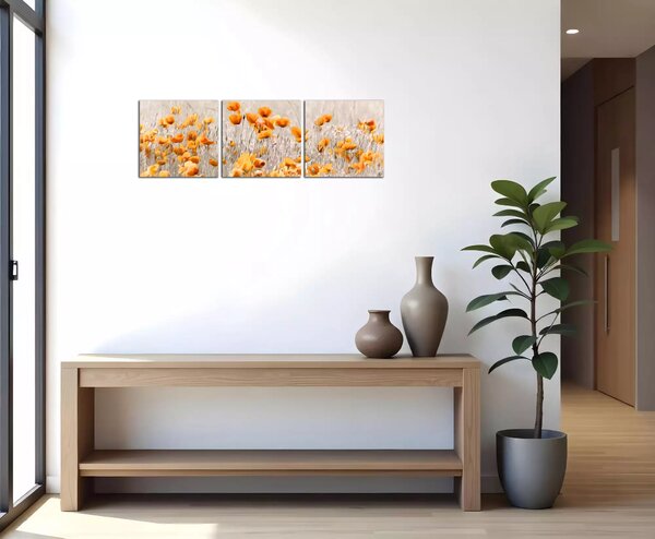 Obraz na plátně Oranžové květy na louce