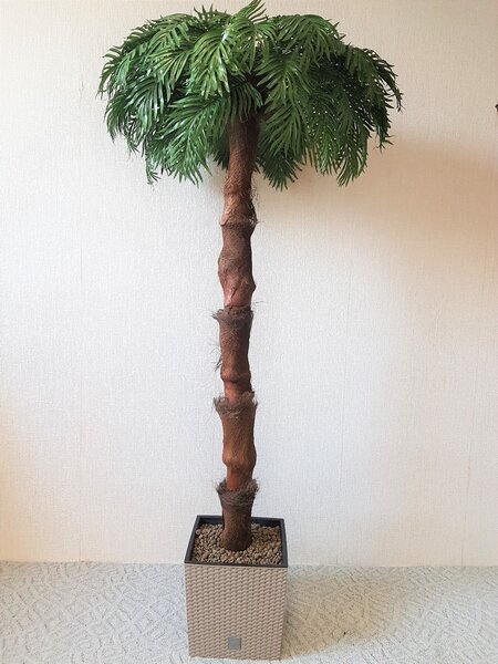 Umělá palma- tmavá s kůrou 180 cm