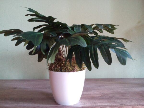Umělá rostlina- monstera