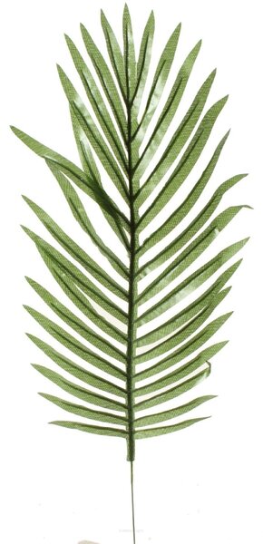 ArtTree s.r.o. Umělá palma světlá s kůrou- 200cm