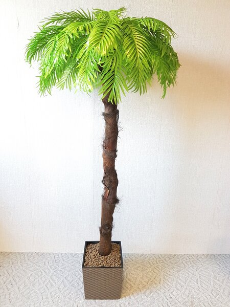 ArtTree s.r.o. Umělá palma světlá s kůrou- 200cm