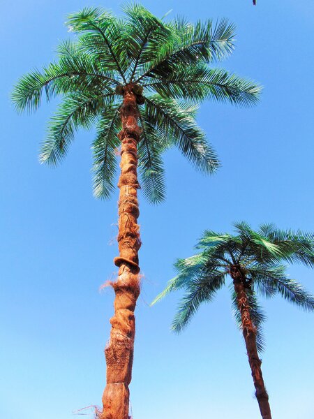 ArtTree s.r.o. Umělá datlová palma 230cm