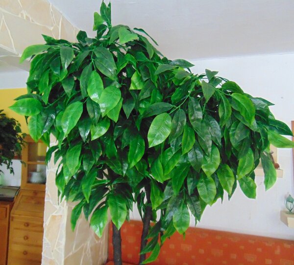 Umělý strom- ořech zelený 250cm