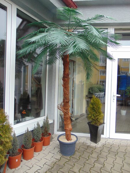 ArtTree s.r.o. Umělá datlová palma 230cm