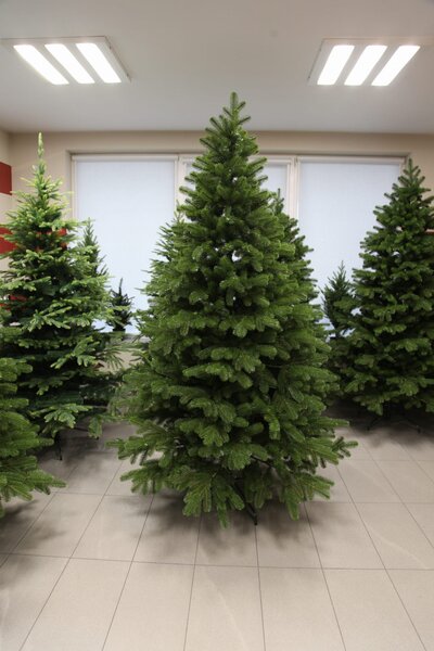 Borovice Limba 200cm- 100% 3D