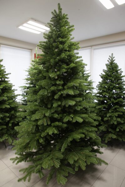 Borovice Limba 200cm- 100% 3D