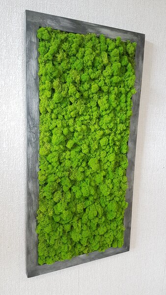 Mechový obraz v patinovaném rámu 80 cm x 30 cm
