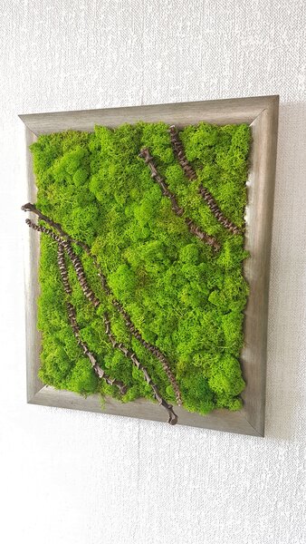 Mechový obraz 48 cm x 38 cm