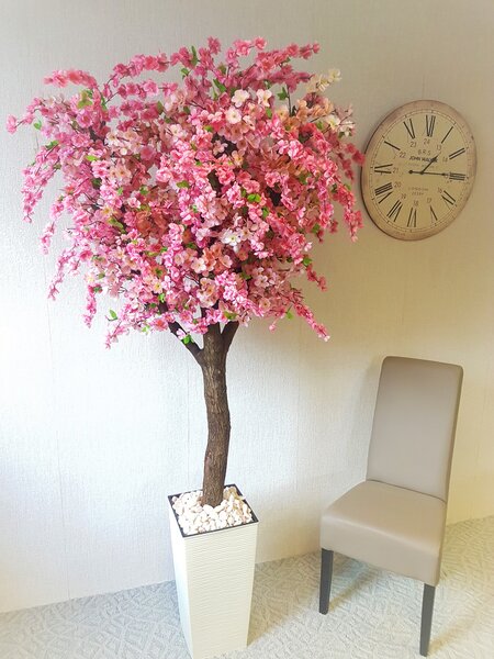Kvetoucí strom- Japonská třešeň 180 cm