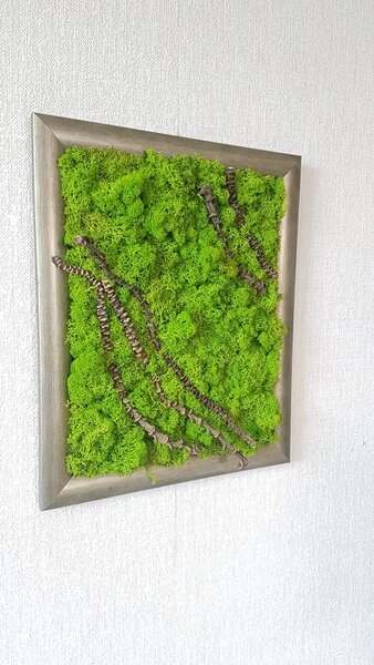 Mechový obraz 48 cm x 38 cm