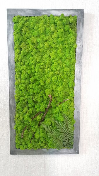 Mechový obraz v patinovaném rámu 80 cm x 30 cm