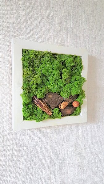 Mechový obraz v bílém rámu 33cm x 33cm