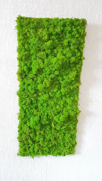 Mechový panel 100 cm x 50 cm