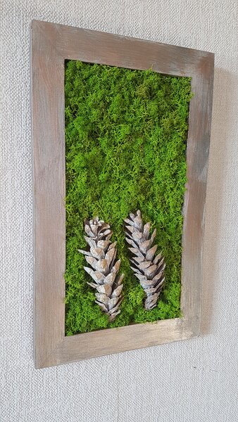 Mechový obraz se šiškami 45cm x 25cm