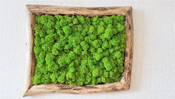 Mechový obraz v asymetrickém rámu 40cm x 30cm
