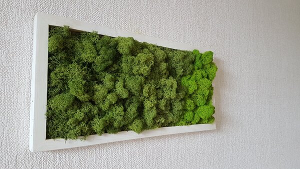 Dvoubarevný mechový obraz 20cm x 40cm