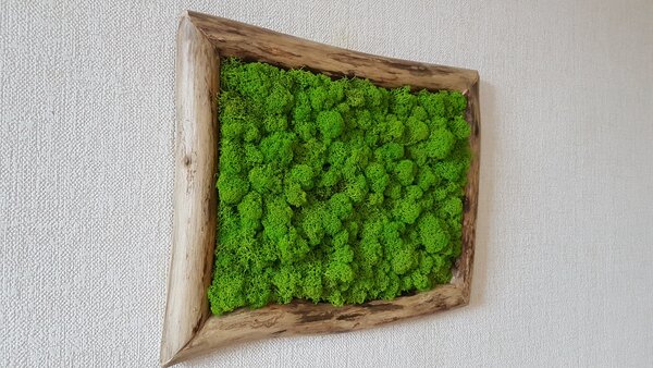 Mechový obraz v asymetrickém rámu 40cm x 30cm