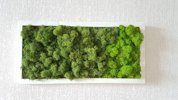 Dvoubarevný mechový obraz 20cm x 40cm