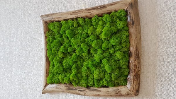 Mechový obraz v asymetrickém rámu 40cm x 30cm
