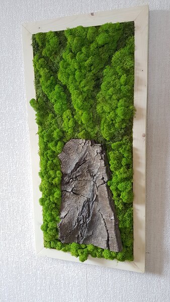 Lišejníkový obraz s přírodní kůrou 100cm x 30cm