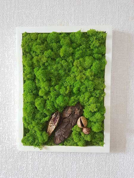 Mechový obraz v bílem rámu 40cm x 30cm
