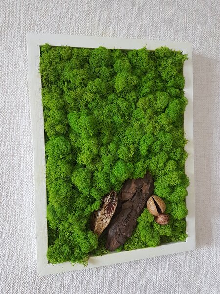 Mechový obraz v bílem rámu 40cm x 30cm