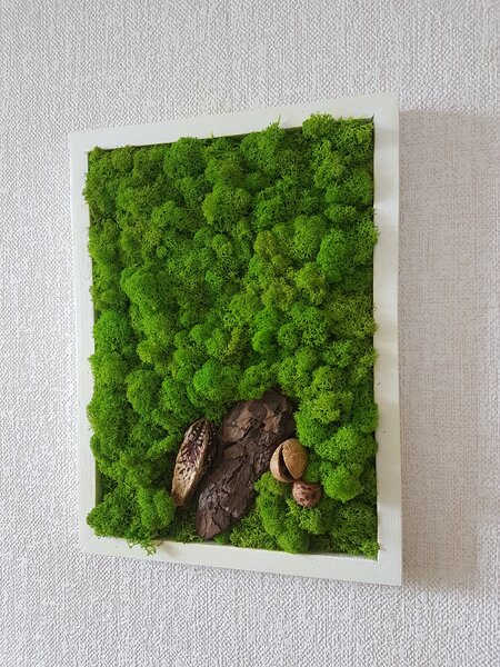 Mechový obraz v bílem rámu 40cm x 30cm