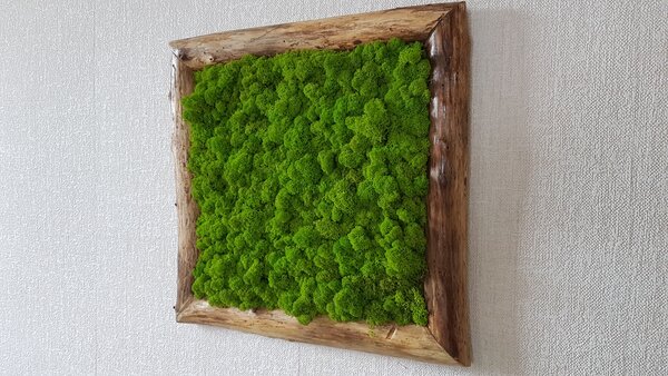 Mechový obraz z bukového dřeva 50cm x 50cm