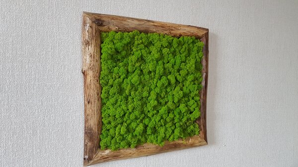 Mechový obraz z bukového dřeva 50cm x 50cm