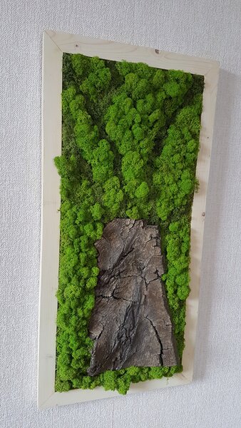 Lišejníkový obraz s přírodní kůrou 100cm x 30cm