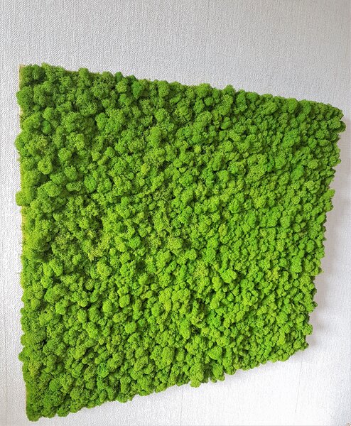 Mechový panel 90cm x 100cm