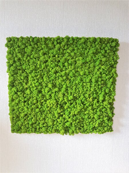 Mechový panel 90cm x 100cm