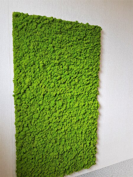 Mechový panel 180cm x 100cm