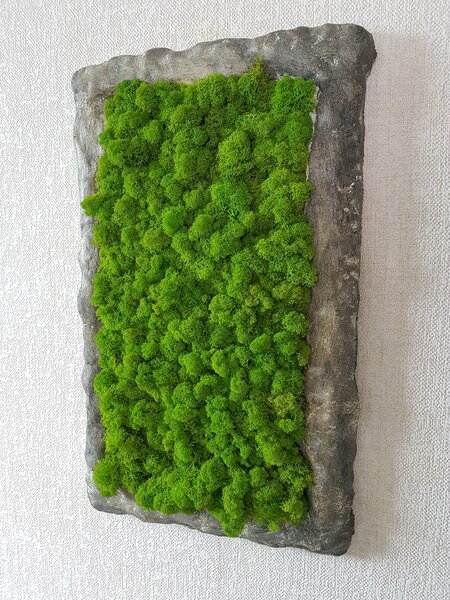 Mechový obraz s atypickým rámem 50 cm x 35 cm