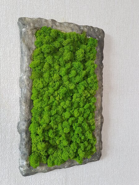Mechový obraz s atypickým rámem 50 cm x 35 cm